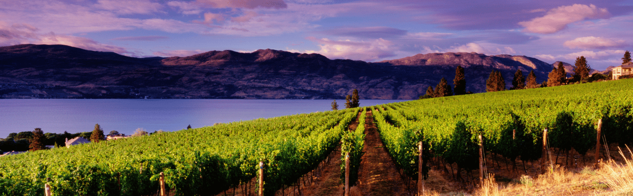 Best Wineries Vernon