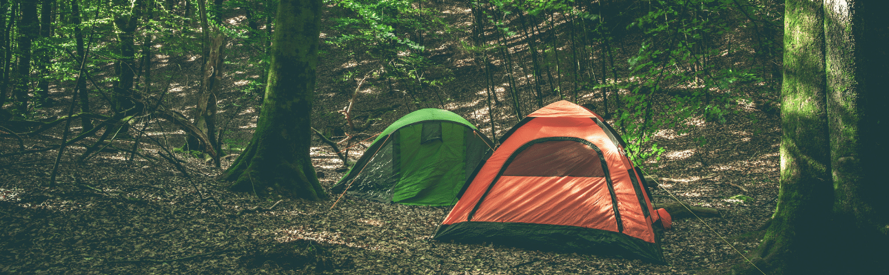 Best Camping Spots Near Vernon