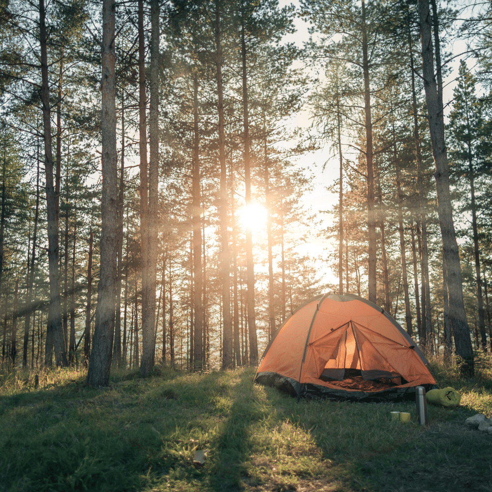 Best Camping Spots Near Vernon